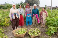 Empowering Food Safety via Community-Based Value Chains